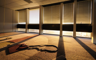 Room carpet window blinds rug - a leash free wallpaper