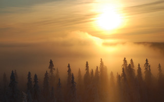 Sunshine clouds forest snow matte - covered free wallpaper