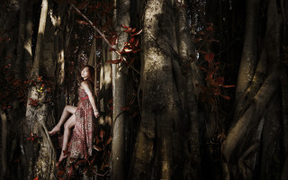 Woman dress sitting tree crossed - adobe lightroom free wallpaper