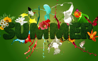 Summer flower grass butterfly bird - flower and grass free wallpaper