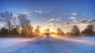 Snowy road trees bench foggy - a foggy sky free wallpaper