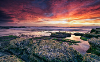 Sunset rocky beach mossy algae - a sunset over a rocky beach free wallpaper