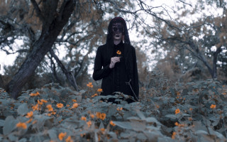 Man black mask flowers autumn - a black mask free wallpaper