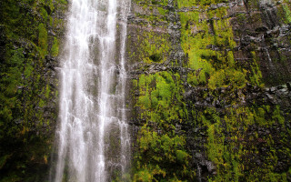 Waterfall forest boat nature impressionist - the water below free wallpaper