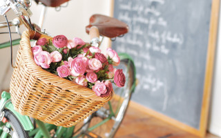 Bicycle basket flowers chalkboard roses - a chalkboard free wallpaper