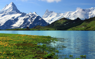 Mountain lake field flowers sky - a grassy field in the foreground free wallpaper