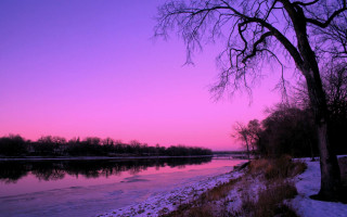 River tree purple sky sunset - river free wallpaper