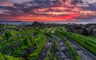 Sunset rocky beach green grass - a sunset over a rocky beach free wallpaper