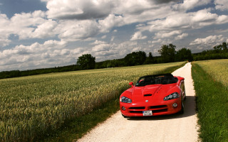 Red sports car wheat field - a cloudy sky free wallpaper for desktop