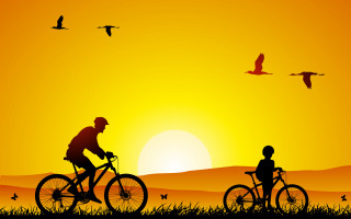 Biking sunset birds child silhouette - a child free wallpaper
