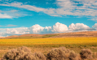Field clouds horse sunset gradient - clyfford still free wallpaper for desktop