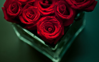Glass vase red roses green - red rose free wallpaper