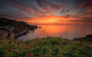 Sunset water boat cliff redflowers - red flower free wallpaper