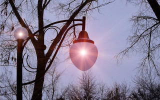 Streetlight tree sunshine autumn leaves - a street light free wallpaper