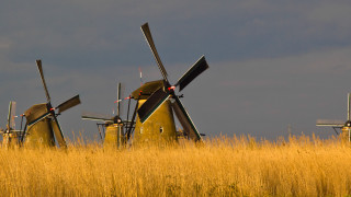 Windmills tallgrass cloudy sky explosion - barthel bruyn free wallpaper