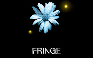 Flower fringe blackbackground yellowlights transgressive - it in front free wallpaper