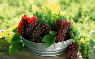 Grapes leaves outdoor stilllife photorealism - outside free wallpaper
