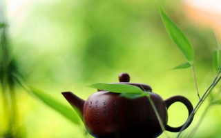 Teapot bamboo grass tranquil stilllife - cao zhibai free wallpaper