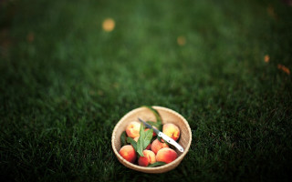 Bowl fruit knife fork grass - a bowl of fruit free wallpaper