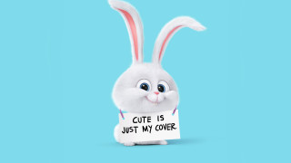 White bunny cute sign blue - cute free wallpaper for desktop
