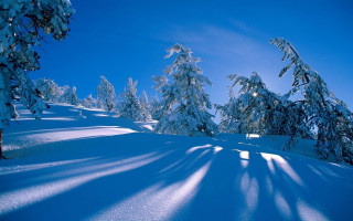 Snowy hill trees blue sky - hill free wallpaper