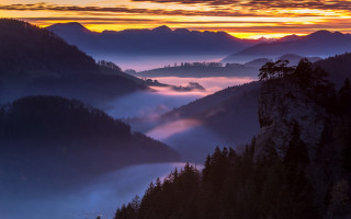 Mountain valley trees sunset fog - the foreground and a sunset in the background free wallpaper