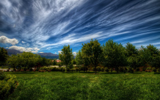 Field trees house blue sky - blue sky free wallpaper