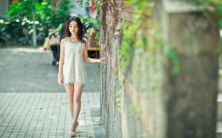 Woman brick wall green plant - a green plant free wallpaper