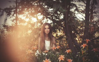 Woman flowers autumn bush portrait - the background and sun free wallpaper