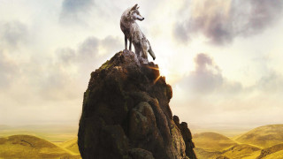 Wolf mountain sky clouds sunset - the cloud free wallpaper