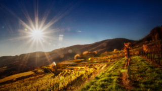Giraffe greenhills mountains sunlight lake - lush free wallpaper