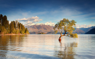 Lake mountain tree sky reflection - the middle of a lake free wallpaper