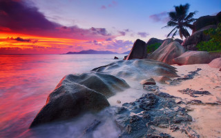 Beach rock formation sunset palm - bascove free wallpaper for desktop