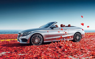 Silver car ocean leaves autumn - a silver car free wallpaper