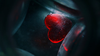 Red heart black surface gothic - a red heart free wallpaper
