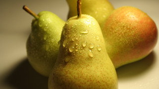 Three pears water droplets white - a white surface free wallpaper
