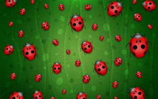 Ladybugs green spotted surface flower - a green surface free wallpaper
