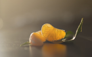 Orange couple leafy plant still - a leafy plant free wallpaper