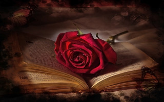 Rose butterfly book gothic flowers - an open book free wallpaper