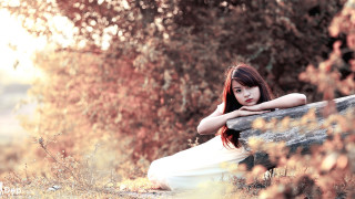 Woman bench field autumn blurry - portrait photography free wallpaper