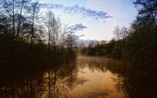 River forest sky autumn bare - the sky above free wallpaper