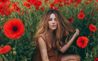 Woman field redflowers blowing wind - eva gonzalès free wallpaper