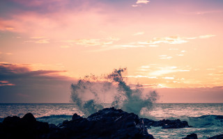Wave rocks ocean sunset pink - ocean free wallpaper