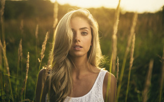 Blonde woman field blowing hair 2 - the wind free wallpaper