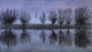 Foggy lake trees church blue - a foggy lake free wallpaper