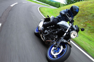 Motorcycle ride road grass trees - grass and trees free wallpaper