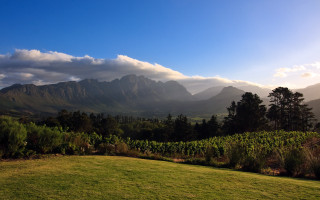 Grassy field mountains clouds trees - a grassy field free wallpaper