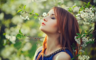 Red haired woman tree white - white flower free wallpaper