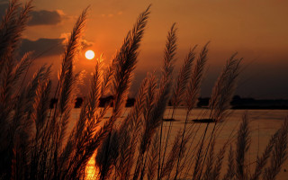 Sunset water tallgrass boats orange - a few boat free wallpaper