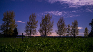 Field fence trees mountain night - a photo free wallpaper for desktop